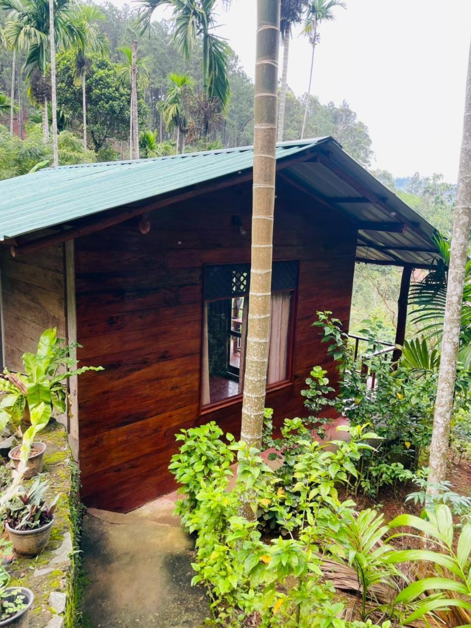 Nine Arch Jungle Inn Элла Экстерьер фото